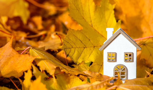 The symbol of the house stands among the fallen autumn leaves
