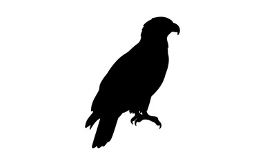 Fototapeta premium Black silhouette of an eagle bird standing still