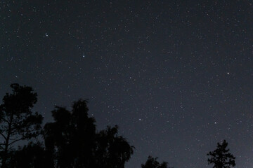 Fototapeta premium Big Dipper Constellation Ursa Major with Stars and Meteor Trails over Silhouetted Treetops in Forest Night Sky in Estonia