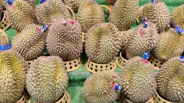 Fresh Durian Fruit in Supermarket Exotic Section