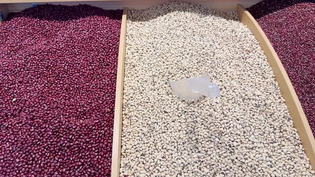 Dried Beans and Lentils Display in Supermarket &ndash; Bulk Legumes in Self-Service Bins