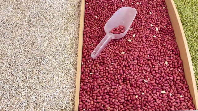 Dried Beans and Lentils Display in Supermarket &ndash; Bulk Legumes in Self-Service Bins
