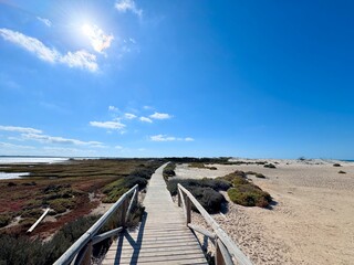 View from the hiking trail Sendero Punta del Boquerón across dunes and brackish land to the Caño de Sancti Petri between Chiclana de la Frontera, San Fernando and Cadiz, Andalusia, Spain © keBu.Medien
