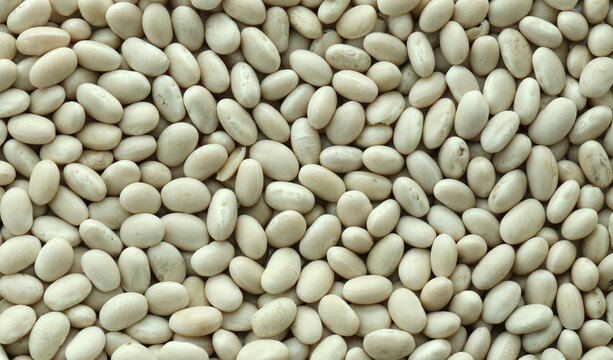 Detailed view on raw white beans in big pile on table close up