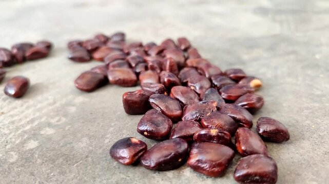 Closeup of fresh brown tamarind seeds piled. Tamarind seeds are effective for relieving dry eyes, lowering cholesterol, aiding digestion, and serving as a natural wastewater purifier