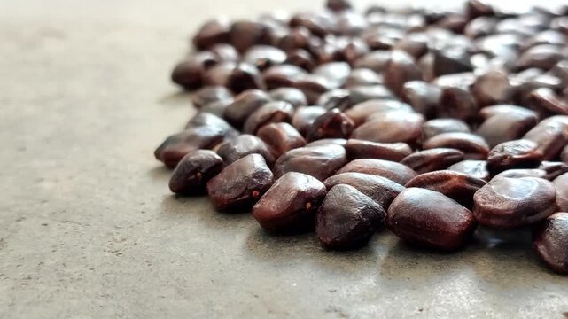 Closeup of fresh brown tamarind seeds piled. Tamarind seeds are effective for relieving dry eyes, lowering cholesterol, aiding digestion, and serving as a natural wastewater purifier