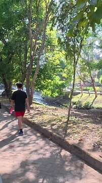 Person walking along shaded tree lined path in Yogyakarta