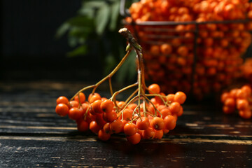 Branch of ripe rowan berries on black wooden background, closeup © Pixel-Shot
