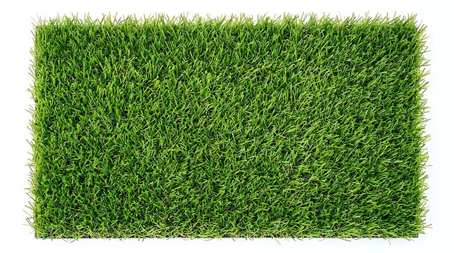 Artificial grass turf carpet isolated on white background