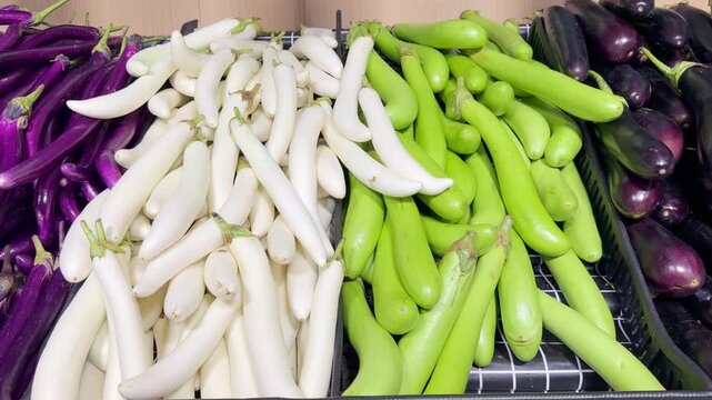 Different Types of Eggplants in Grocery Store Vegetable Aisle 
