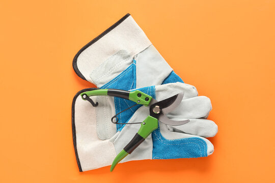 Gardening secateurs and gloves on orange background