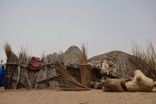 Dutse, Nigeria - 16 April 2026: View of traditional thatched huts with wooden fencing and a large log in a rural setting in Dutse, Jigawa, Nigeria.