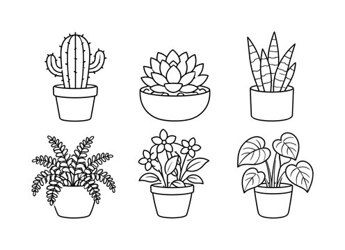 Potted Plant Collection line icon set, 6 clean outline icons featuring cactus pot, succulent bowl, snake plant, fern planter, flowering houseplant and leafy indoor plant, arranged in a balanced 3x2