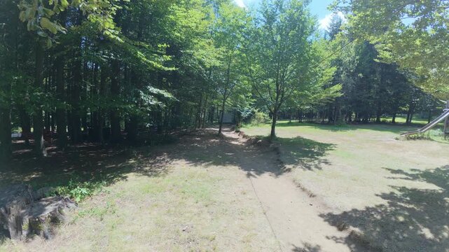 Boy Riding Zip Line Swing in Outdoor Adventure Park