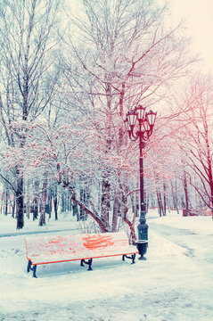 Winter city park landscape. Snowy trees in the winter park and a bench covered with snow