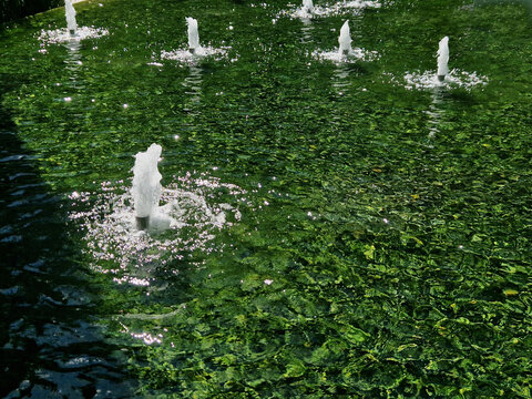 Proper maintenance of water jet fountains keeps water flowing smoothly, prevents unsightly algae, and protects pump from premature failure Maintenance Schedulewater levels so pump remains fully submer