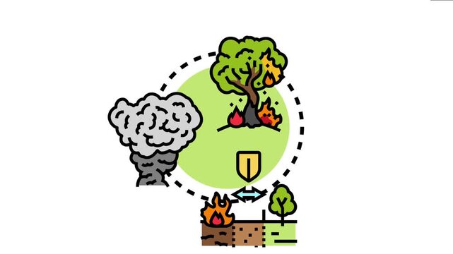 Wildfire suppression strategy explaining prevention, managing fires, and creating barriers for environmental protection and safety