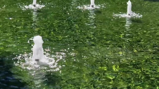 Proper maintenance of water jet fountains keeps water flowing smoothly, prevents unsightly algae, and protects pump from premature failure Maintenance Schedulewater levels so pump remains fully submer