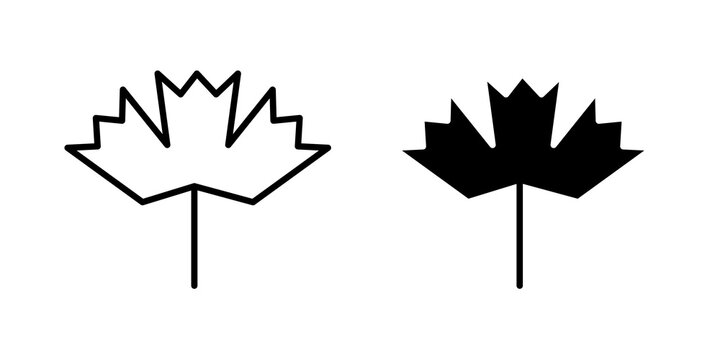 Maple leaf icon vector logo collection