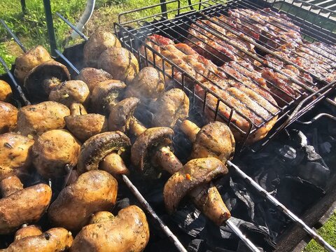 Grilling mushrooms and meat on a barbecue during a sunny day