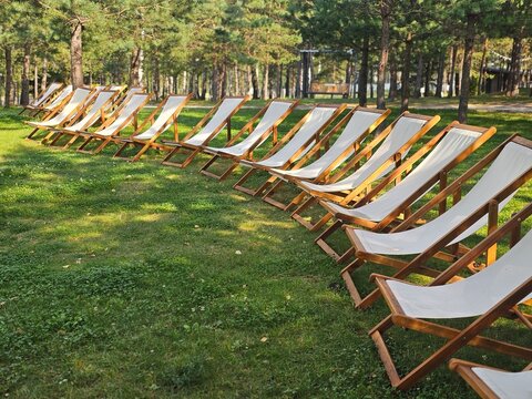 Row of deck chairs placed in a green field under trees
