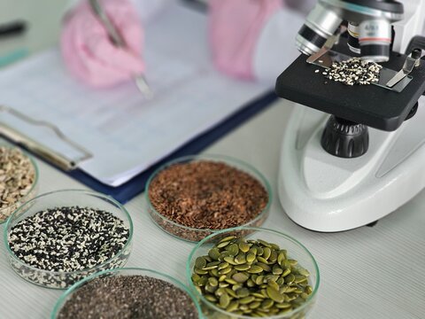Researcher analyzes seeds with microscope while recording findings in laboratory concept
