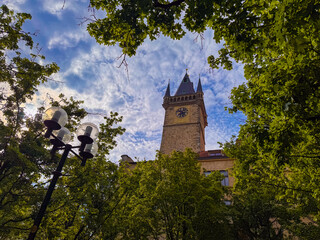 Fototapeta premium A green space in Prague with trees and historical buildings