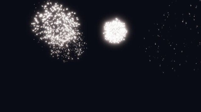 3d render firework A mesmerizing dynamic 3D rendering of a spectacular firework explosion against an inky black background