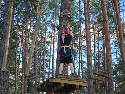 Person climbing obstacle course high in trees on a sunny day