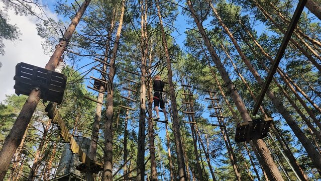 Person climbing in a high ropes course set among tall trees