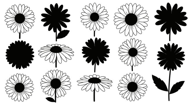 Black and white daisy flower vector icons set with collection daisy white styles illustration silhouette minimalist decorative monochrome with wildflower