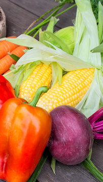 Colorful arrangement fresh garden vegetables including yellow corn on cob, vibrant orange carrots, glossy red bell pepper, and earthy purple beet on dark wood surface, vertical photo