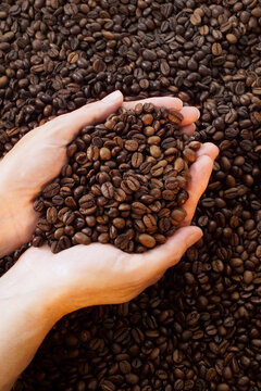 Hands holding coffee beans, close-up