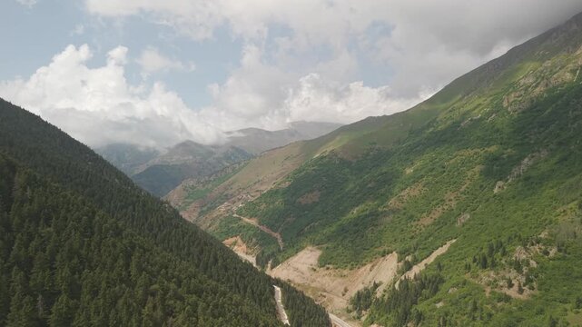 4K 10-bit drone shot flying forward over green pine forest and ascending to reveal a majestic mountain landscape in Gumushane, Turkey