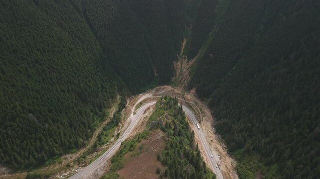 4K 10-bit drone pull-back shot flying backward to reveal a dense green pine forest blanket covering the mountains in Gumushane, Turkey
