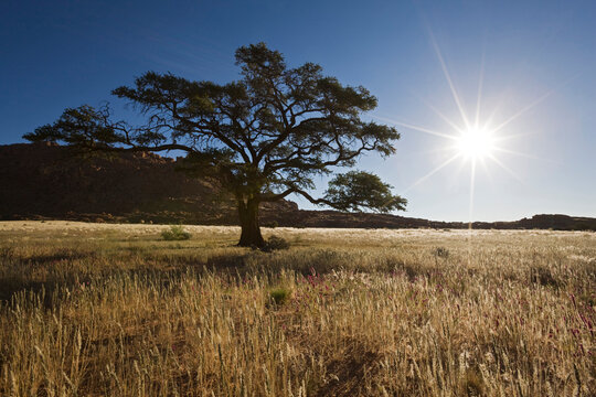 Africa, Namibia, Landscape