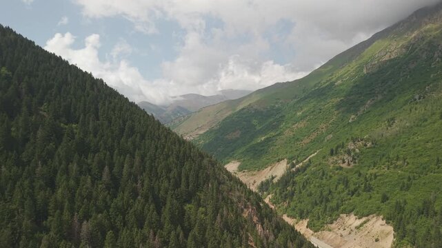 4K 10-bit drone shot flying forward over green pine forest and ascending to reveal a majestic mountain landscape in Gumushane, Turkey
