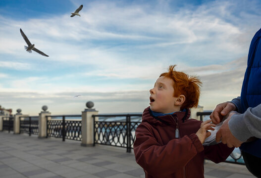Redhead boy and father watch a flying seagull at the beach promenade