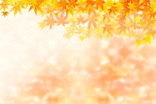 紅葉の葉と光輝くの背景イラスト、秋のイメージ