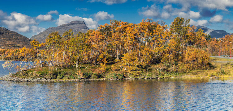 beautiful landscape of Norway with trees with yellow leaves reflecting in the water of a lake and mountain peaks in the background