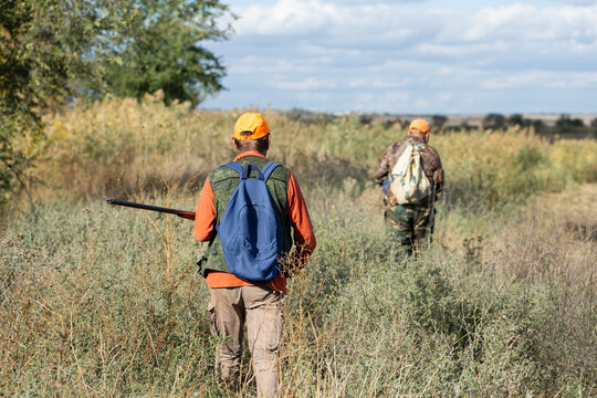 A hunter with a gun in camouflage clothing. A gentleman with a gun, medium shot, unrecognizable.