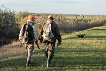 Fototapeta premium A hunters in camouflage clothing with a gun in his hands walks along the reeds.