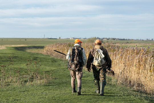 A hunters in camouflage clothing with a gun in his hands walks along the reeds.