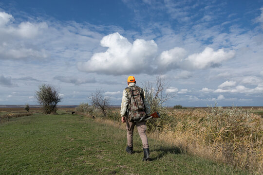 A hunter with a gun in camouflage clothing. A gentleman with a gun, medium shot, unrecognizable.