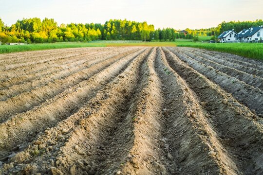 Rural landscape with freshly tilled soil rows