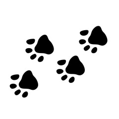 Black paw prints scatter across a white background
