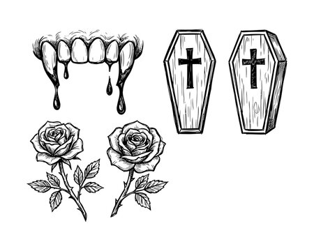 Gothic black and white vampire rose coffin illustration isolated on transparent background, isolated on white background, Vector