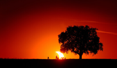 Spectacular view of a solar eclipse sunset with the silhouettes of a tree and people on the horizon watching the sun crescent in the deep red vignetted sky.  © Smileus