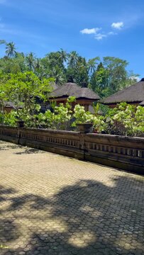Coffee farm Kopi Luwak. Kopi Luwak is one of the most expensive and exclusive coffee varieties in the world. Production of Arabica coffee,  Bali, Indonesia. 