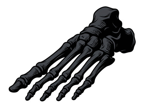 Detailed black foot bones skeleton vector illustration for Halloween spooky designs